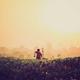 萨拉赫